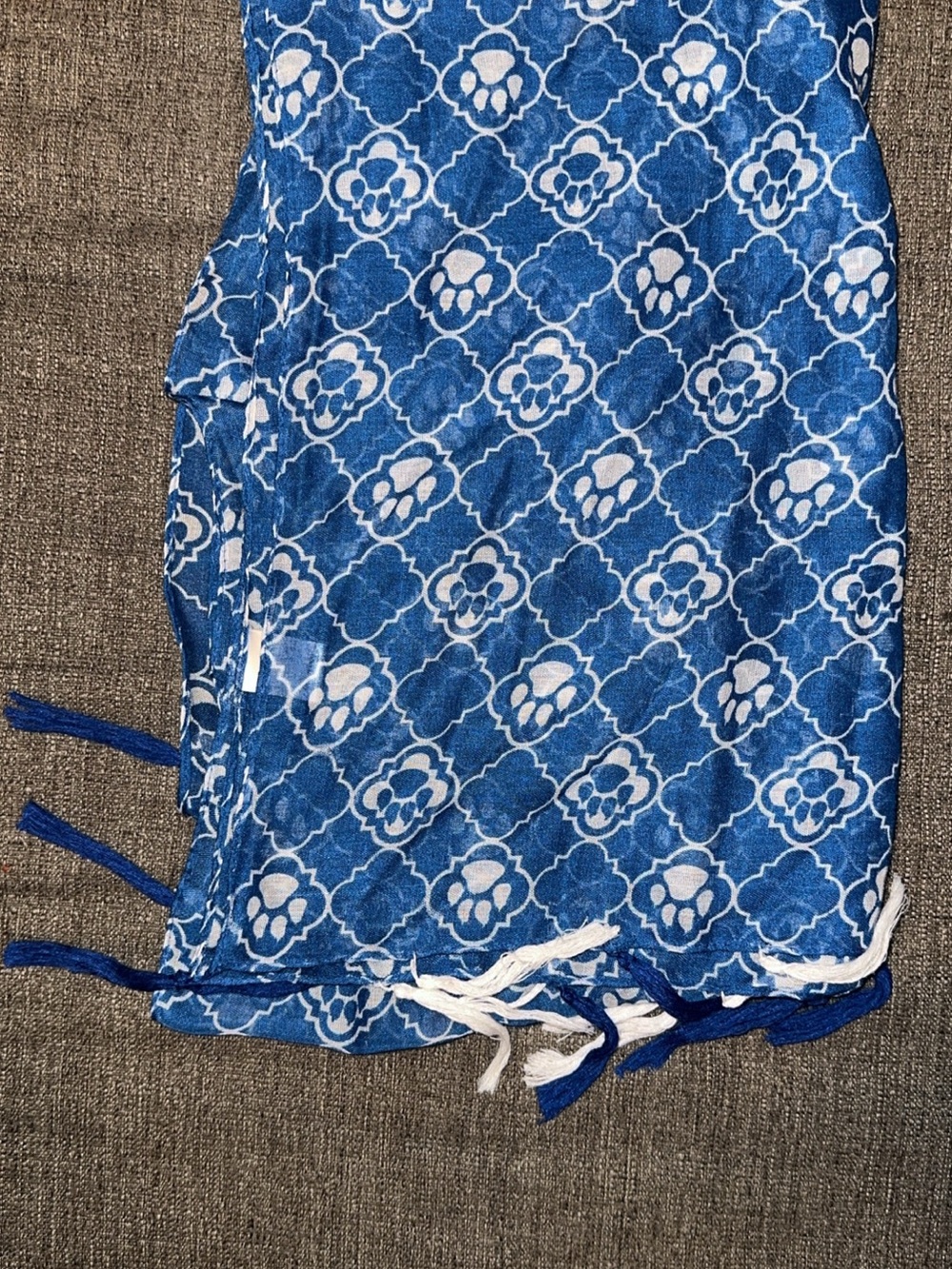Blue kentucky wildcat basketball Women's Scarf with tassles